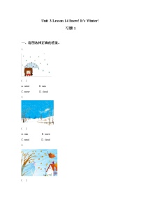 英语六年级上册Lesson 14 Snow! It's Winter!精练