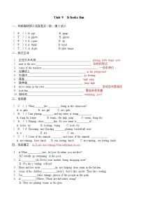 小学英语教科版 (广州)四年级下册Module 5 SportsUnit 9 It looks fun课后练习题