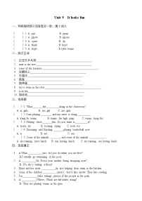 教科版 (广州)四年级下册Module 5 SportsUnit 9 It looks fun课后测评