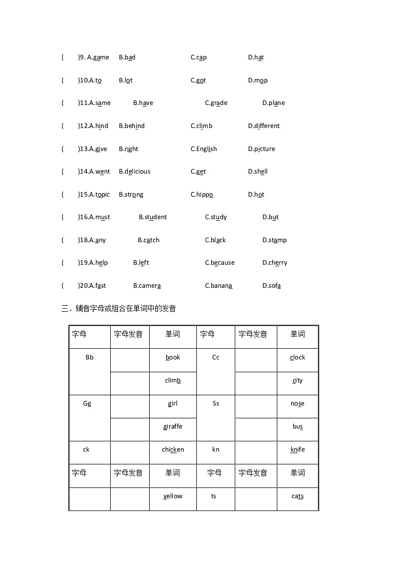 1【小升初】语音（一）教案讲义及练习学案第3页
