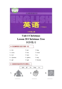 英语六年级上册Unit 4 christmasLesson 20 OhChristmas Tree课堂检测