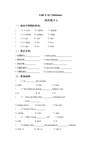 小学英语新版-牛津译林版五年级上册Unit 8 At Christmas课后测评