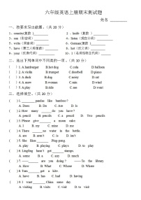 外研版六年级英语上册期末测试