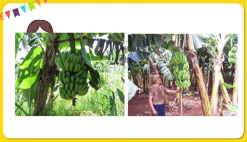 Unit 5 Part A2第7页