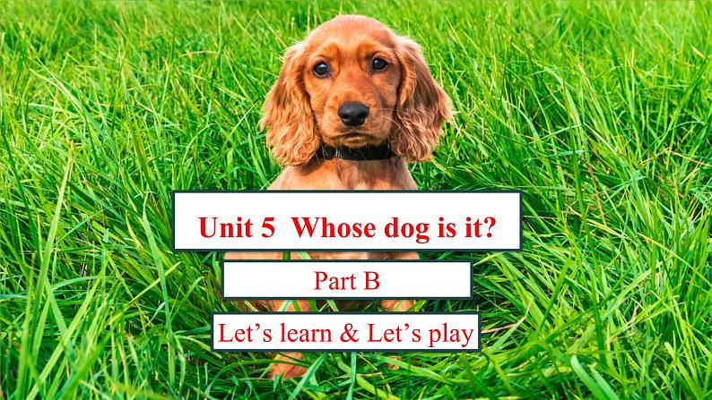 人教版 (PEP)五年级下册Unit 5 Part B2【课件+音视频素材】01