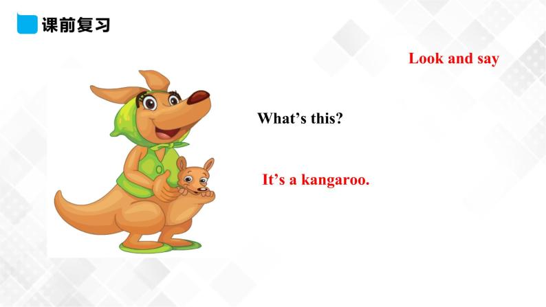 人教精通版三年级下册英语 unit 5 its a parrot.