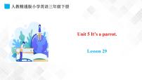 小学英语人教精通版三年级下册Lesson 29图文ppt课件