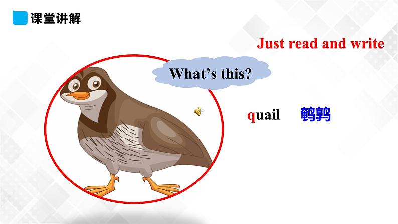 RJJTB3x Unit 5 It 's a parrot. Lesson 28课件第7页