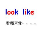 广州版英语四年级下册Module 1 Unit 1《He looks like a cook》PPT课件3