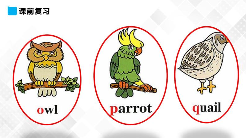 人教精通版三年级下册英语 Unit 5 It's a parrot. Lesson 30 课件+素材07