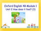 牛津上海版四年級(jí)下冊(cè)英語(yǔ)Module1 Unit 2 How does it feel？ Period 3課件