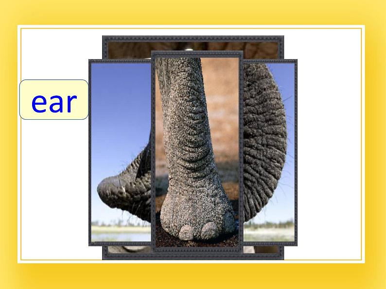 牛津上海版四年级下册英语Module1 Unit 2 How does it feel？ Period 3课件第4页