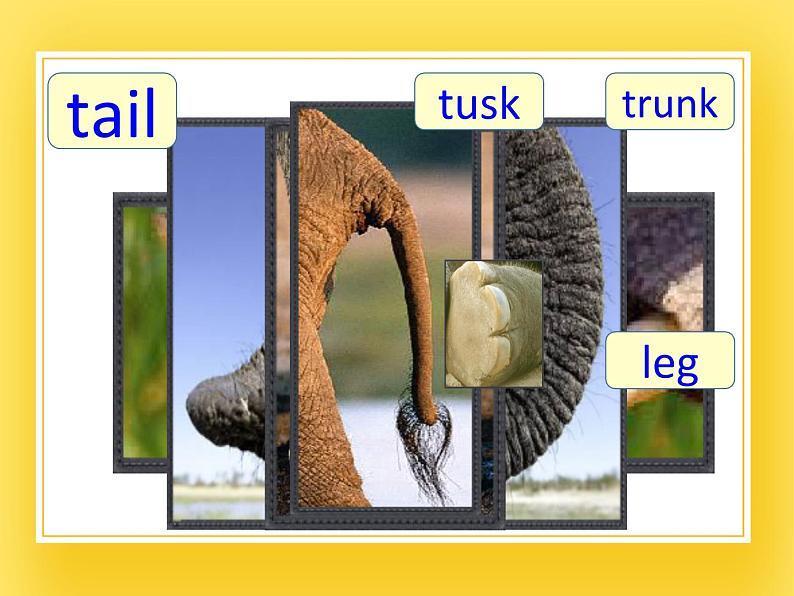 牛津上海版四年级下册英语Module1 Unit 2 How does it feel？ Period 3课件第5页