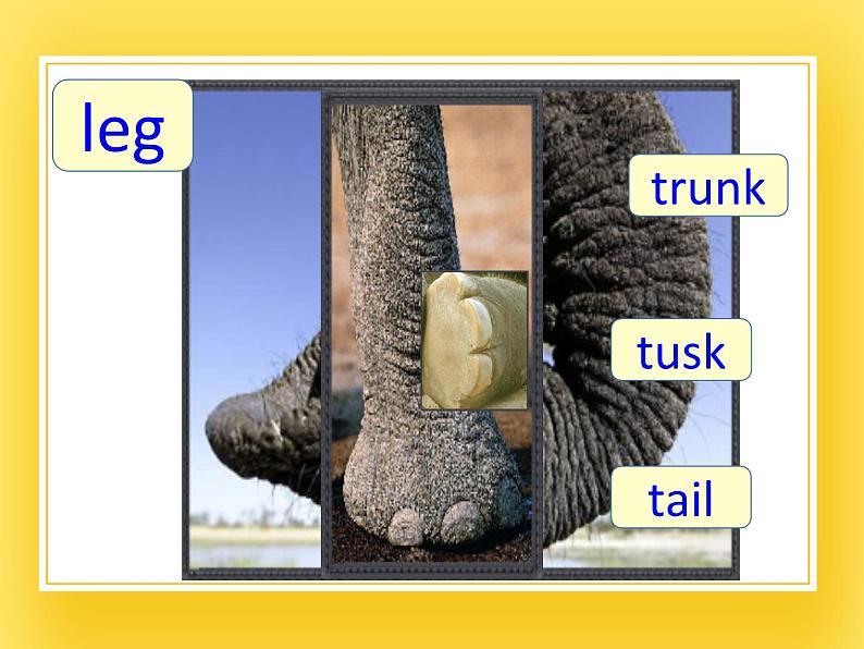 牛津上海版四年级下册英语Module1 Unit 2 How does it feel？ Period 3课件第6页