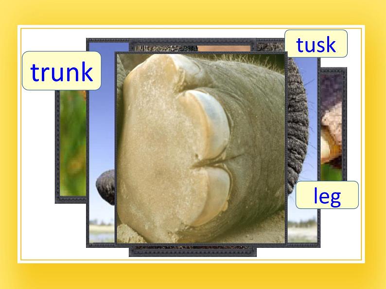 牛津上海版四年级下册英语Module1 Unit 2 How does it feel？ Period 3课件第7页