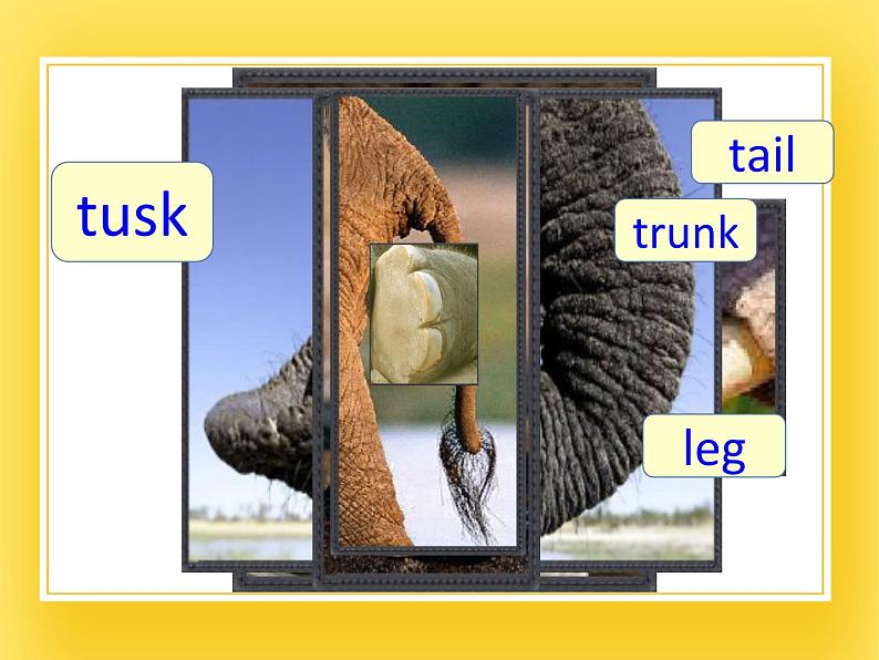 牛津上海版四年级下册英语Module1 Unit 2 How does it feel？ Period 3课件第8页