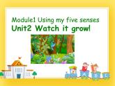 牛津上海版五年级下册Module1 Using my five senses unit2Watch it grow课件