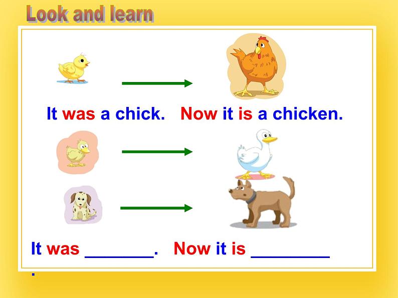 牛津上海版五年级下册Module1 Using my five senses unit2Watch it grow课件05