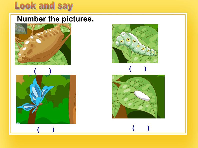 牛津上海版五年级下册Module1 Using my five senses unit2Watch it grow课件06