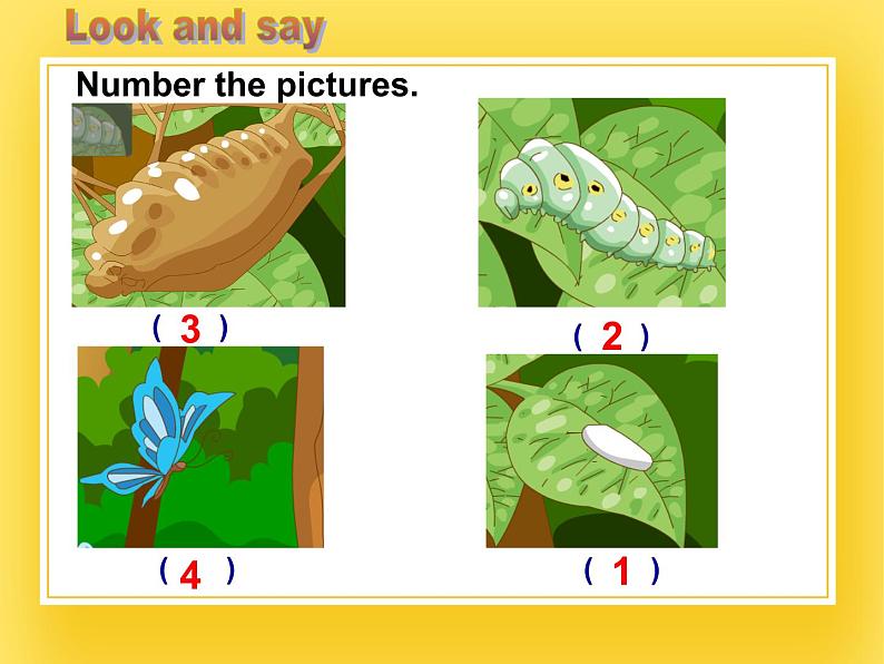 牛津上海版五年级下册Module1 Using my five senses unit2Watch it grow课件07