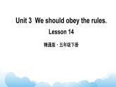 人教精通版英语五下 Unit 3 We should obey the rules Lesson 14 课件