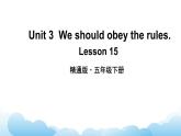 人教精通版英语五下 Unit 3 We should obey the rules Lesson 15 课件