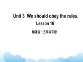 人教精通版英语五下 Unit 3 We should obey the rules Lesson 16 课件