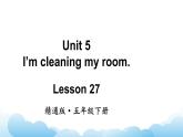 人教精通版英语五下 Unit 5 I'm cleaning my room Lesson 27 课件