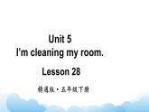 人教精通版英语五下 Unit 5 I'm cleaning my room Lesson 28 课件