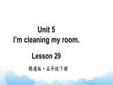 人教精通版英语五下 Unit 5 I'm cleaning my room Lesson 29 课件