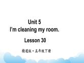人教精通版英語五下 Unit 5 I'm cleaning my room Lesson 30 課件