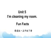 人教精通版英语五下 Unit 5 I'm cleaning the room Fun Facts课件