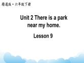 人教精通版英語(yǔ)六下 Lesson 9 課件