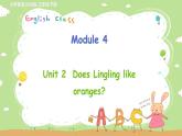 外研英語3年級下冊 Module 4 Unit 2 PPT課件+教案