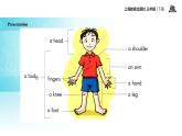 Module 4 Unit 1 My body 课件+教案+同步练习