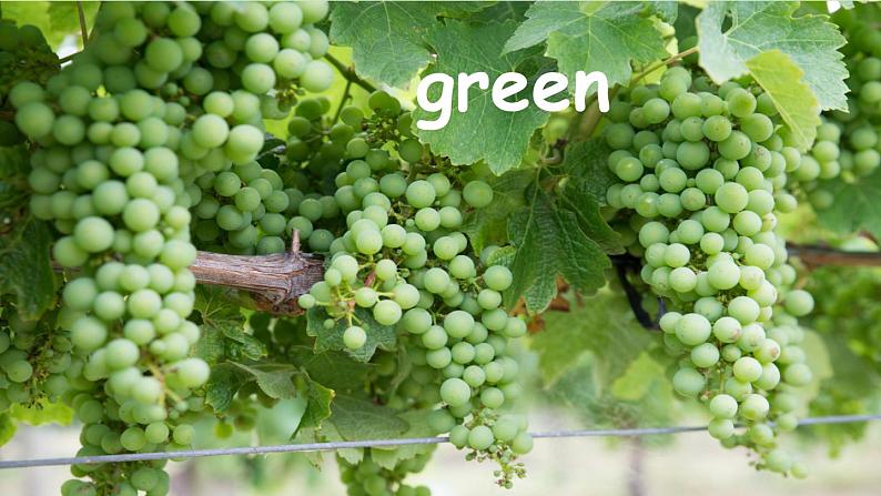 人教版（新）英语三年级上册 Unit 2 Part A 第2课时 教学课件+音频素材07