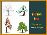 Unit 2 My favourite season Part A let's learn 课件（共25张PPT）