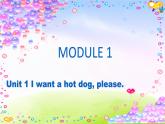 外研版一起小學(xué)英語六下《Module 1Unit 1 I want a hot dog，please.》PPT課件 (3)