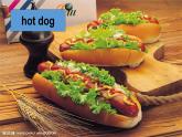 外研版一起小學(xué)英語六下《Module 1Unit 1 I want a hot dog，please.》PPT課件 (3)