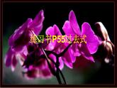 外研版一起小学英语六下《Module 3Unit 1 I took some photos.》PPT课件 (1)