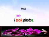 外研版一起小学英语六下《Module 3Unit 1 I took some photos.》PPT课件 (1)