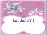 外研版一起小学英语六下《Module 3Unit 1 I took some photos.》PPT课件 (3)