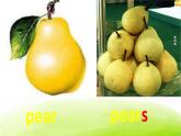 外研版一起小学英语三下《Module 4Unit 1 We'll pick fruit.》PPT课件 (1)