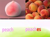 外研版一起小学英语三下《Module 4Unit 1 We'll pick fruit.》PPT课件 (1)