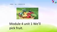 小学英语外研版 (一年级起点)三年级下册Unit 1 We'll pick fruit.课前预习ppt课件