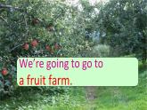 外研版一起小学英语三下《Module 4Unit 1 We'll pick fruit.》PPT课件 (2)