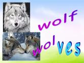 外研版一起小学英语四下《Module 3Unit 1 He shouted “ Wolf, wolf!”》PPT课件 (2)【