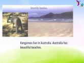 外研版一起小学英语四下《Module 9Unit 2 Kangaroos live in Australia.》PPT课件 (3)
