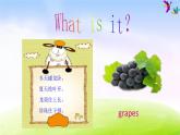 人教版三下英语Unit 5 Do you like pears 第4课时课件PPT