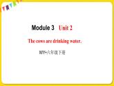2022年英語外研版六年級下冊——Module 3 Unit 2【課件+音頻】